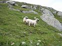 20090827_galenstock_michi 003